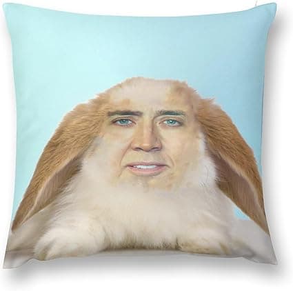 Cute Rabbit Cage Sofa Cushion Case Home Decorative Throw Nicolas Pillow Cover for Couch Bedroom 18x18 Inch